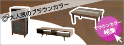 �֥饦�󥫥顼�ý�