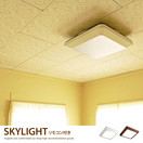 ������󥰥饤�� SKYLIGHT �����ָ���