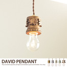 �ڥ����ȥ饤�� DAVID PENDANT