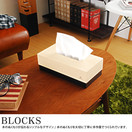 YK09-100_BLOCKS