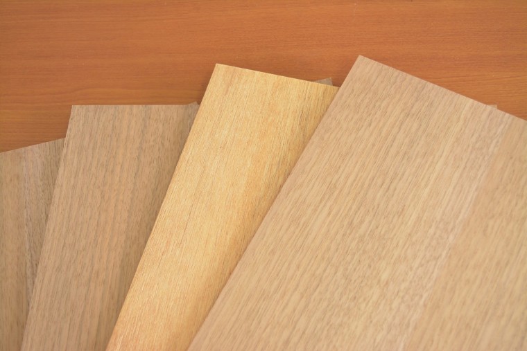 家具選びの前に、木材の基礎知識を学ぼう♪「木材の種類①」