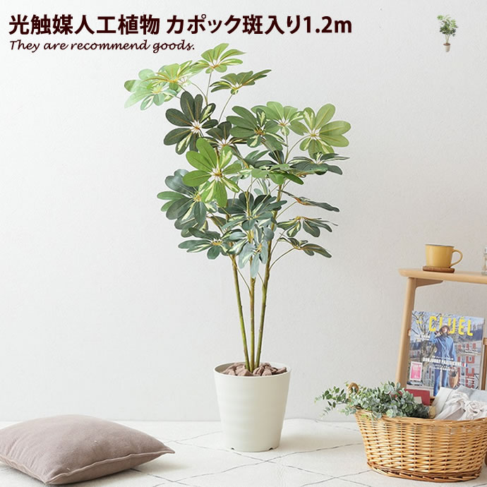 g46047]Suavis 光触媒人工植物 カポック斑入り1.2m 観葉植物 | 家具 