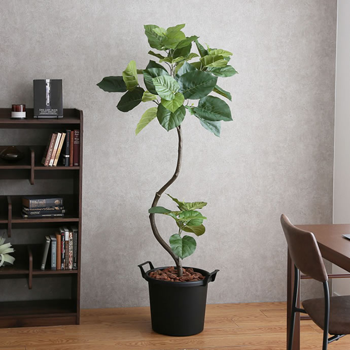 [g46051]Curve 光触媒人工植物 ウンベラータ 高さ1.65m 観葉植物 