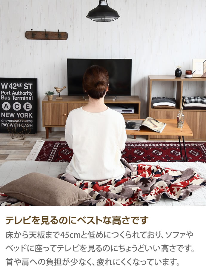 ◇イーナ◇サーシャ◇テレビ台◇幅110cm◇大阪兵庫京都奈良滋賀和歌山◇ g138002]【幅110cm】Sasha テレビボード ローボード | 家具