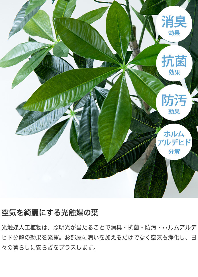 Nakasyou-store2リリカラ トリムボーダー24本 エレガンス 花柄 グリーン LW-2875 ホルダー、タッセル、トリム 