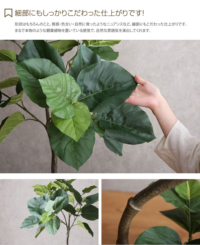 光触媒　人工観葉植物　ウォールグリーン　クィーン胡蝶蘭5本w/ab高さ74センチ