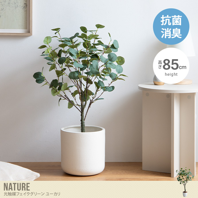 送料無料】Nature ナチュレ 高さ85cm 観葉植物 ユーカリ フェイク ...