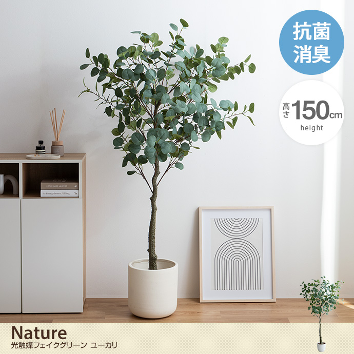 【高さ150cm】Nature 光触媒人工観葉植物 ユーカリ