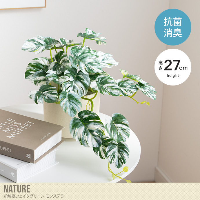 【高さ27cm】光触媒人工観葉植物 モンステラ