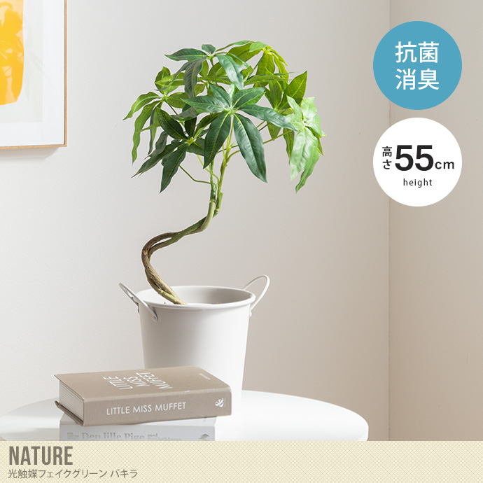 【高さ55cm】光触媒人工観葉植物 パキラ