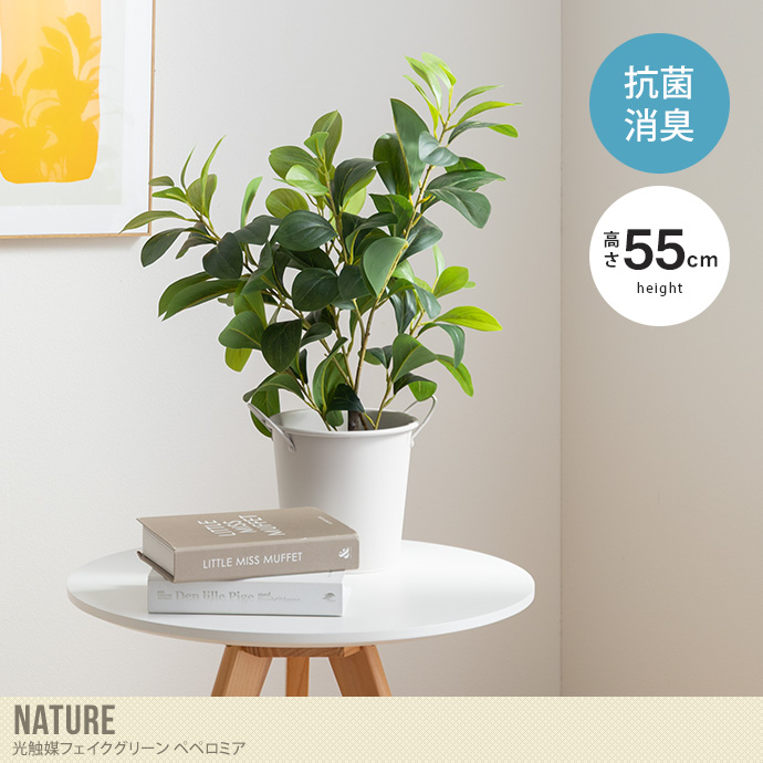 【高さ55cm】光触媒人工観葉植物 ペペロミア
