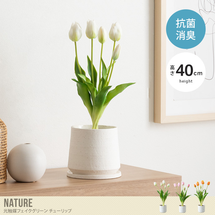 【高さ40cm】光触媒人工観葉植物 チューリップ