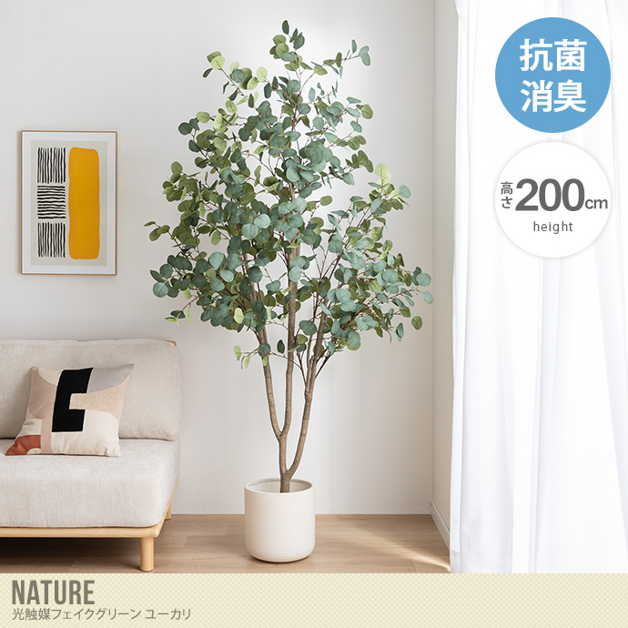 【高さ200cm】光触媒人工観葉植物 ユーカリ