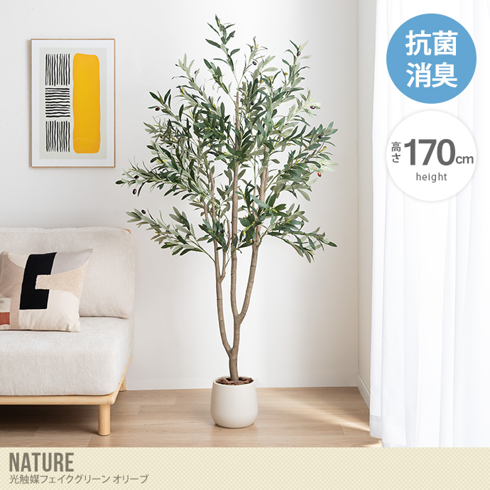 【高さ170cm】光触媒人工観葉植物 オリーブ