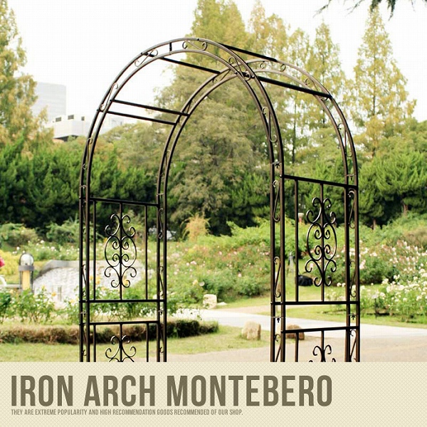 Iron arch motebero