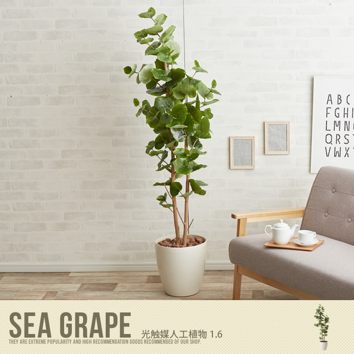 【送料無料】観葉植物 シーグレープ sea grape 室内 イミテーショングリーン 人工 造花 植物 大型 シーグレープ1.6 グリーン