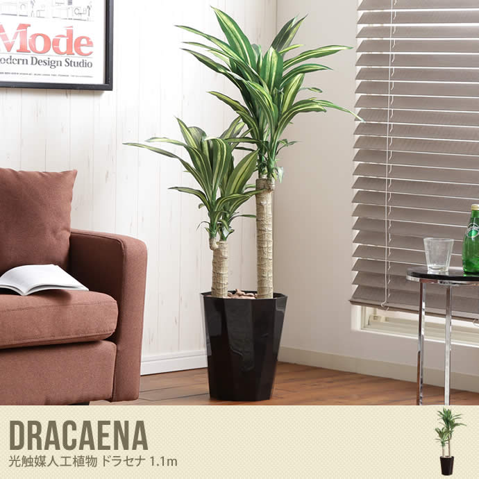 【高さ1.1m】Dracaena 光触媒人工植物 ドラセナ