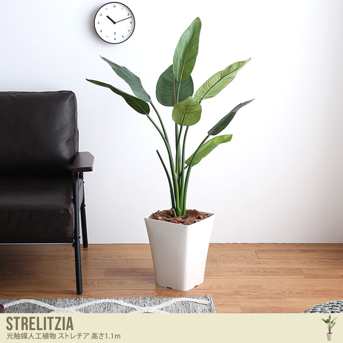 Strelitzia 光触媒人工植物 ストレチア 高さ1.1m